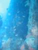 112 - Dive2-1