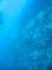 117 - Dive2-1
