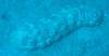 118 - Dive2-1