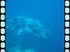 20050921 - Sipadan-Kapalai-Dive7-1 112