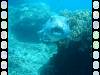 20050921 - Sipadan-Kapalai-Dive7-2 110