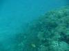 117 - Day4-2 Soft Coral Plateau