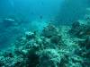 128 - Namena Reef North Save A Tack Passage