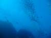 102 - Day5-1 Vatu-I-Ra Channel Hi-8