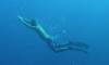121 - Day5-1 Vatu-I-Ra Channel Hi-8