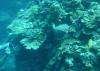 111 - Day5-2 Vatu-I-Ra Channel Hi-8
