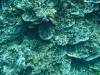 108 - Day5-3 Vatu-I-Ra Channel E-6
