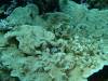 126 - Day5-3 Vatu-I-Ra Channel E-6
