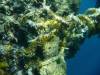 130 - Day5-3 Vatu-I-Ra Channel E-6