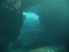 105 - Dive1-1 Kona Aquarium