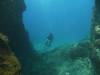 106 - Dive1-2 Kona Aquarium