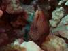 106 - Dive3-1 Stoney Mesas