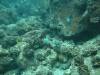 105 - Dive3-2 Stoney Mesas