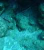 101 - Dive4-1 Paradise Pinnacle