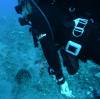 118 - Dive4-1 Paradise Pinnacle
