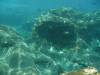 107 - Dive4-2 Paradise Pinnacle