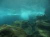 115 - Dive4-2 Paradise Pinnacle