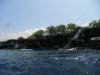 118 - Dive4-2 Paradise Pinnacle