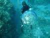 101 - Dive4-3 Rob's Reef