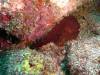 106 - Dive4-4 Rob's Reef