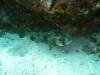 109 - Dive5-1 Amphitheatre