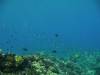 112 - Dive5-1 Amphitheatre