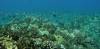 114 - Dive5-1 Amphitheatre