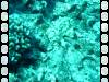 103 - Dive5-2 Amphitheatre