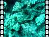 105 - Dive5-2 Amphitheatre