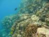 118 - Dive5-2 Amphitheatre