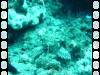 123 - Dive5-2 Amphitheatre