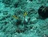 130 - Dive5-2 Amphitheatre