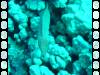 108 - Dive6-1 Turtle Pinnacle
