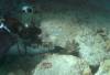 109 - Dive6-2 Turtle Pinnacle
