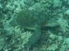 102 - Dive2-3 Third Tank