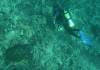 103 - Dive2-3 Third Tank