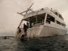 102 - Dive1-1 Long Caye Ridge