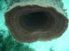 106 - Dive1-1 Long Caye Ridge