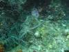 118 - Dive2-1 Dos Cocos