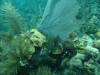 106 - Dive2-2 Dos Cocos