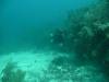 109 - Dive2-2 Dos Cocos