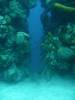 106 - Dive3-3 Half Moon Wall