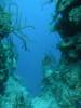 107 - Dive3-3 Half Moon Wall