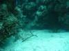 109 - Dive3-3 Half Moon Wall