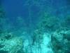118 - Dive3-3 Half Moon Wall