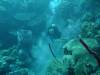 119 - Dive3-3 Half Moon Wall