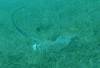 125 - Dive3-3 Half Moon Wall