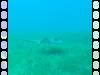 128 - Dive3-3 Half Moon Wall