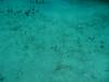 130 - Dive3-3 Half Moon Wall