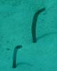 133 - Dive3-3 Half Moon Wall